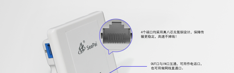 支持以太网接入环境，用户可选择有线方式上网。